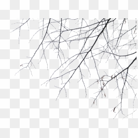 Transparent Ramas De Arbol Png - Black And White Branches Png, Png Download - arbol png