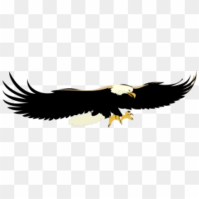 Black Eagle Svg Clip Arts - Soaring Eagle Clip Art, HD Png Download - eagle feather png