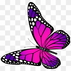 Butterfly Pink And Purple Transparent Png Clip Art, Png Download - purple butterfly png