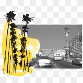 Los Angeles Jesse Katz Header - Street, HD Png Download - los angeles skyline png