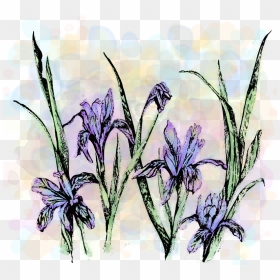 Wildflower Show -1, HD Png Download - wildflower png