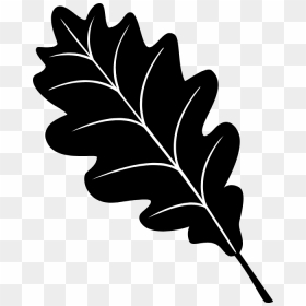 Maple Leaves Fall Printable, HD Png Download - oak leaf png