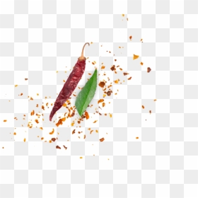 Transparent Hot Pepper Png - Illustration, Png Download - hot pepper png