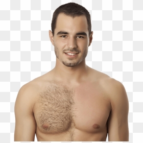 Male Chest Hair Removal - Light Chest Hair Men, HD Png Download - chest hair png