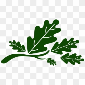 Five Oaks Leaves, HD Png Download - oak leaf png