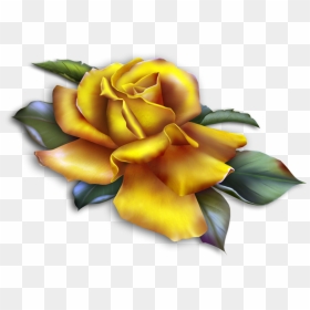 Clipart Yellow Roses , Png Download - Roses Clipart Yellow, Transparent Png - yellow roses png