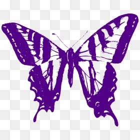 Purple Butterfly Png , Png Download - Purple Outline Of A Butterfly, Transparent Png - purple butterfly png