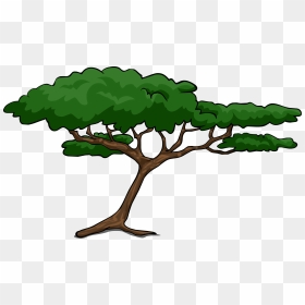Png Tree Savannah - Acacia Tree Clipart, Transparent Png - jungle tree png