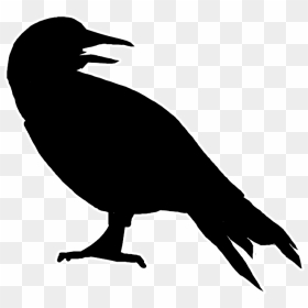 Canary Silhouette , Png Download - Silueta Canario Png, Transparent Png - black canary png