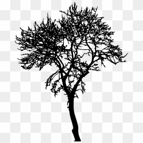 Jungle Tree Silhouette Transparent , Png Download - Tree Silhouette, Png Download - jungle tree png