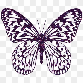 Purple Decorative Butterfly Png Clipart Image - Clipart Butterfly Png Pink, Transparent Png - purple butterfly png