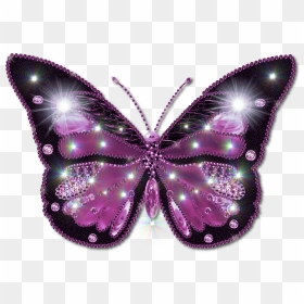 Pink And Purple Butterfly Png, Transparent Png - purple butterfly png