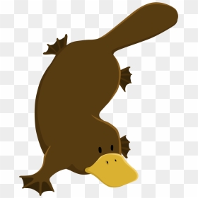 Fabric/ Surface Design With A Platypus - Clipart Platypus Png, Transparent Png - platypus png