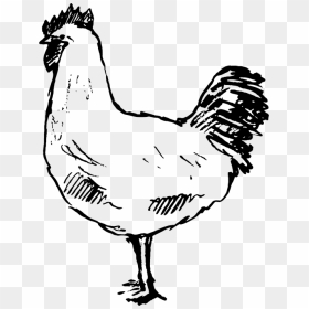 Hen Rubber Stamp - Rooster, HD Png Download - rubber chicken png