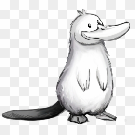 White Platypus, HD Png Download - platypus png