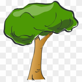Tree - Tree Clipart No Background, HD Png Download - jungle tree png