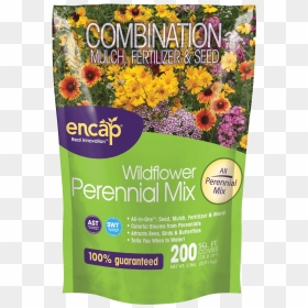 Encap Wildflower Perennial Mix 11520-6, HD Png Download - wildflower png