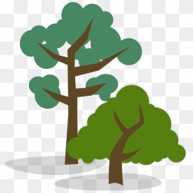 Stylized Illustration Of One Tall And One Short Tree - Short Tree Vs Tall Tree, HD Png Download - tall tree png