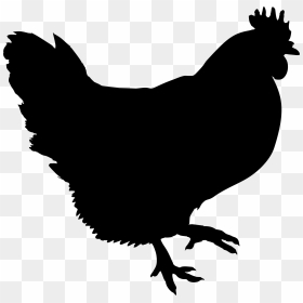 Black Chicken Clip Art - Silhouette Chicken Clipart Png, Transparent Png - rubber chicken png