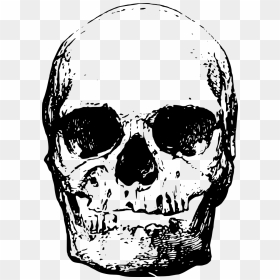 หัว กะโหลก Png, Transparent Png - evil skull png