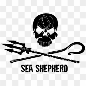Jolly Roger Transparent Images Png - Sea Shepherd Logo Png, Png Download - jolly roger png