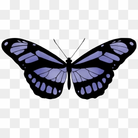 This Free Icons Png Design Of Butterfly - Wall Painting Of Butterfly, Transparent Png - purple butterfly png