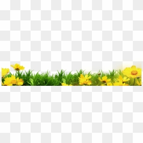 Floral Clipart Template, HD Png Download - grass border png