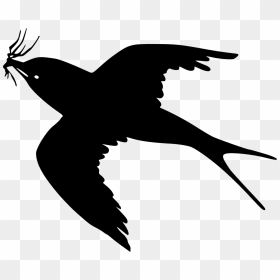 Transparent Seagull Silhouette Png - Black Bird Clipart, Png Download - seagull silhouette png