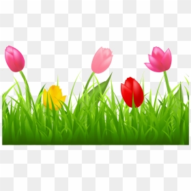 Grass With Colorful Tulips Png Clipart Spring Pinterest - Tulip Clipart Transparent, Png Download - grass border png