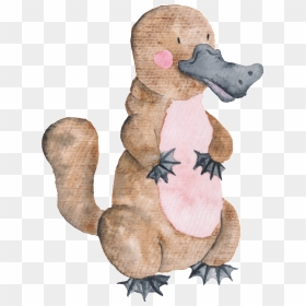 This Graphics Is Hand Drawn Platypus Transparent Animal - Cartoon Australian Animals Clipart, HD Png Download - platypus png