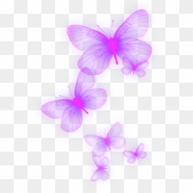 Neon Butterfly Png - Transparent Neon Butterfly Png, Png Download - purple butterfly png