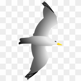 Seagull Remix By Merlin2525 - Clip Art, HD Png Download - seagull silhouette png