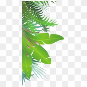 Transparent Jungle Leaves Png, Png Download - jungle tree png