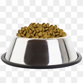 Dog Food Bowl Png, Transparent Png - dog bowl png