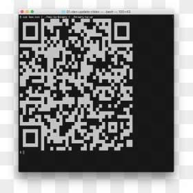 Pokemon Go Freunde Qr Code Japan, HD Png Download - sombra skull png