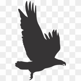 Eagle Eagle Silhouette Silhouette - Transparent Silhouette Eagle Clipart, HD Png Download - seagull silhouette png
