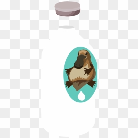This Free Icons Png Design Of Misc Milk Platypus , - Punxsutawney Phil, Transparent Png - platypus png