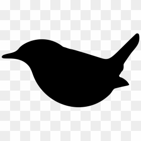 Bird Silhouette - Birds, HD Png Download - seagull silhouette png
