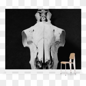 Chair, HD Png Download - sombra skull png