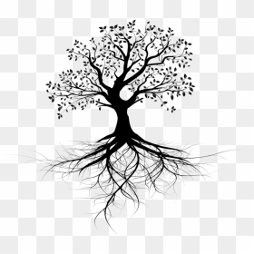Realistic Tree Roots Drawing, HD Png Download - jungle tree png