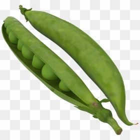 Green Bean Transparent Background , Png Download - Peapod 3d Model, Png Download - green beans png