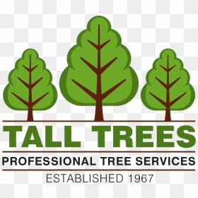 Portable Network Graphics, HD Png Download - tall tree png