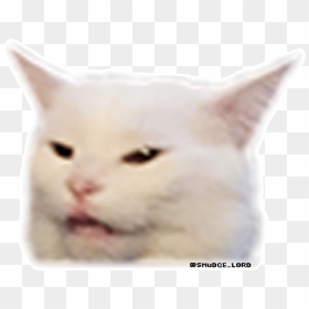 Smudge The Cat Sticker, HD Png Download - smudge png