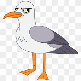 Seagull Illustration Png - Seagull Clipart Transparent Background, Png Download - seagull silhouette png