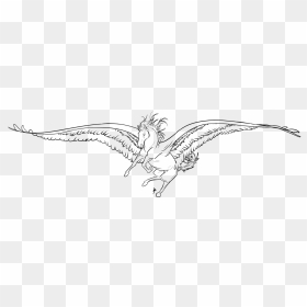 Png Library Download Albatross Drawing Feather - Sketch, Transparent Png - feather drawing png