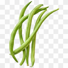 Green Beans Png Free Image - Green Bean Clipart, Transparent Png - green beans png