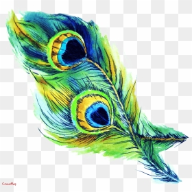 Peacock Feather Png, Transparent Png - feather drawing png