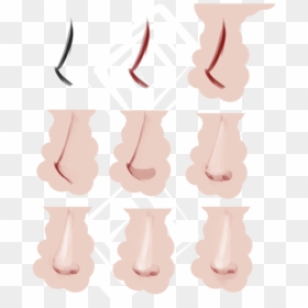 Nose Anime Eyes Google Search Noses Pinterest Anime - Illustration, HD Png Download - google eyes png