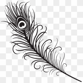 How To Draw Peacock Feather For Beginners Step By Step - Peacock Feather Drawing Easy, HD Png Download - feather drawing png