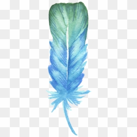 Drawing Feather Coloured - Blue Feather Drawing, HD Png Download - feather drawing png